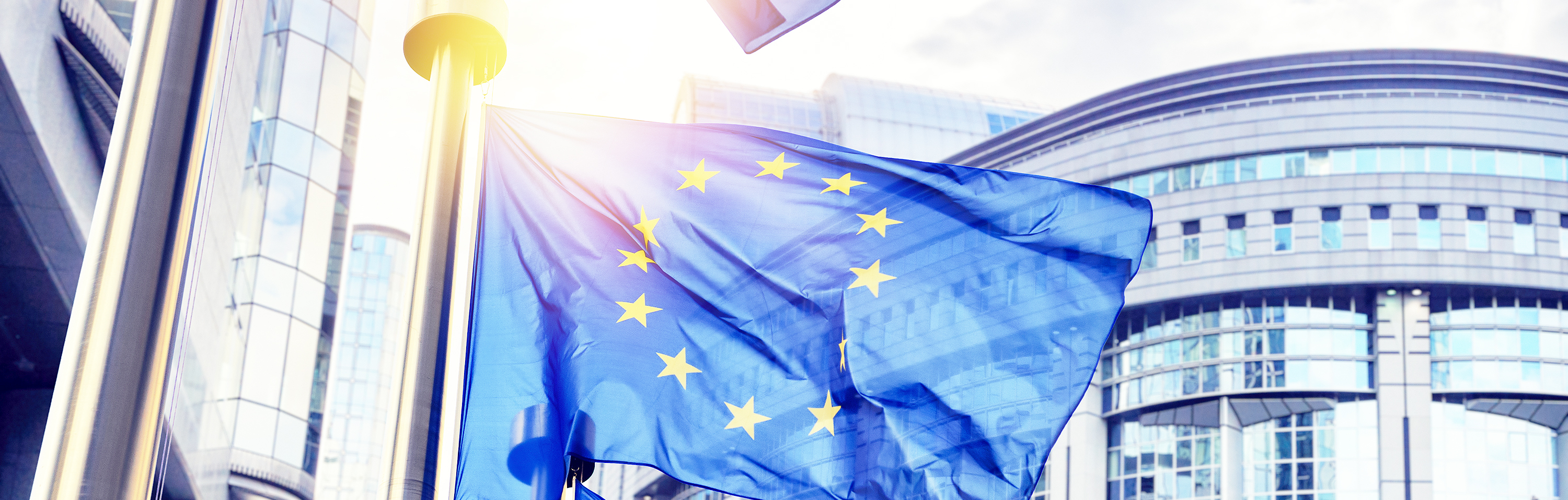 EU flags waving in front of European Parliament building. Brussels, Belgium